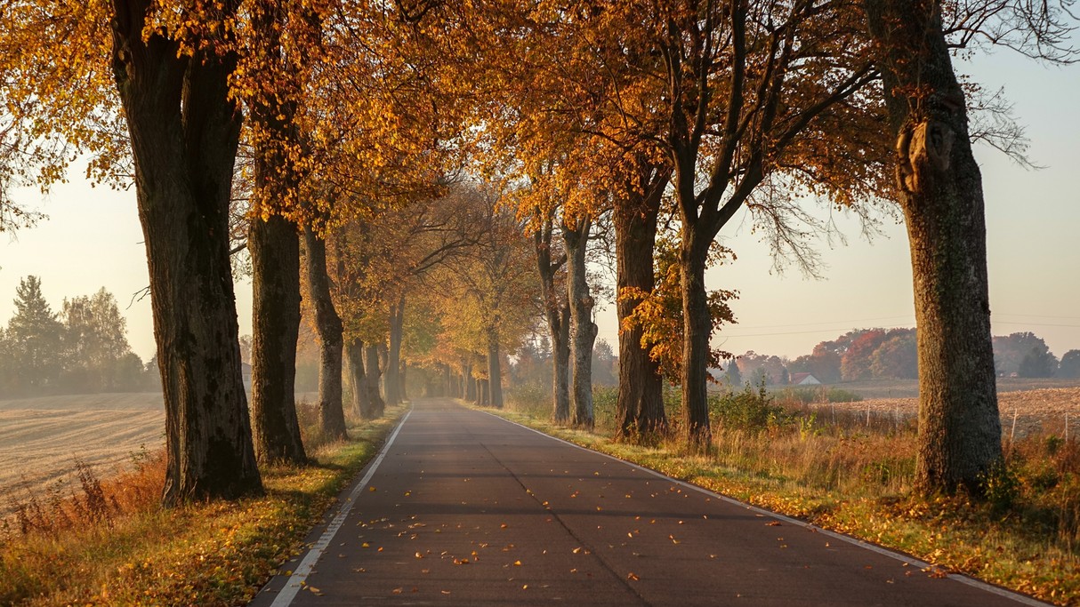 Polskie krajobrazy w 2018 roku - zdjęcie 86