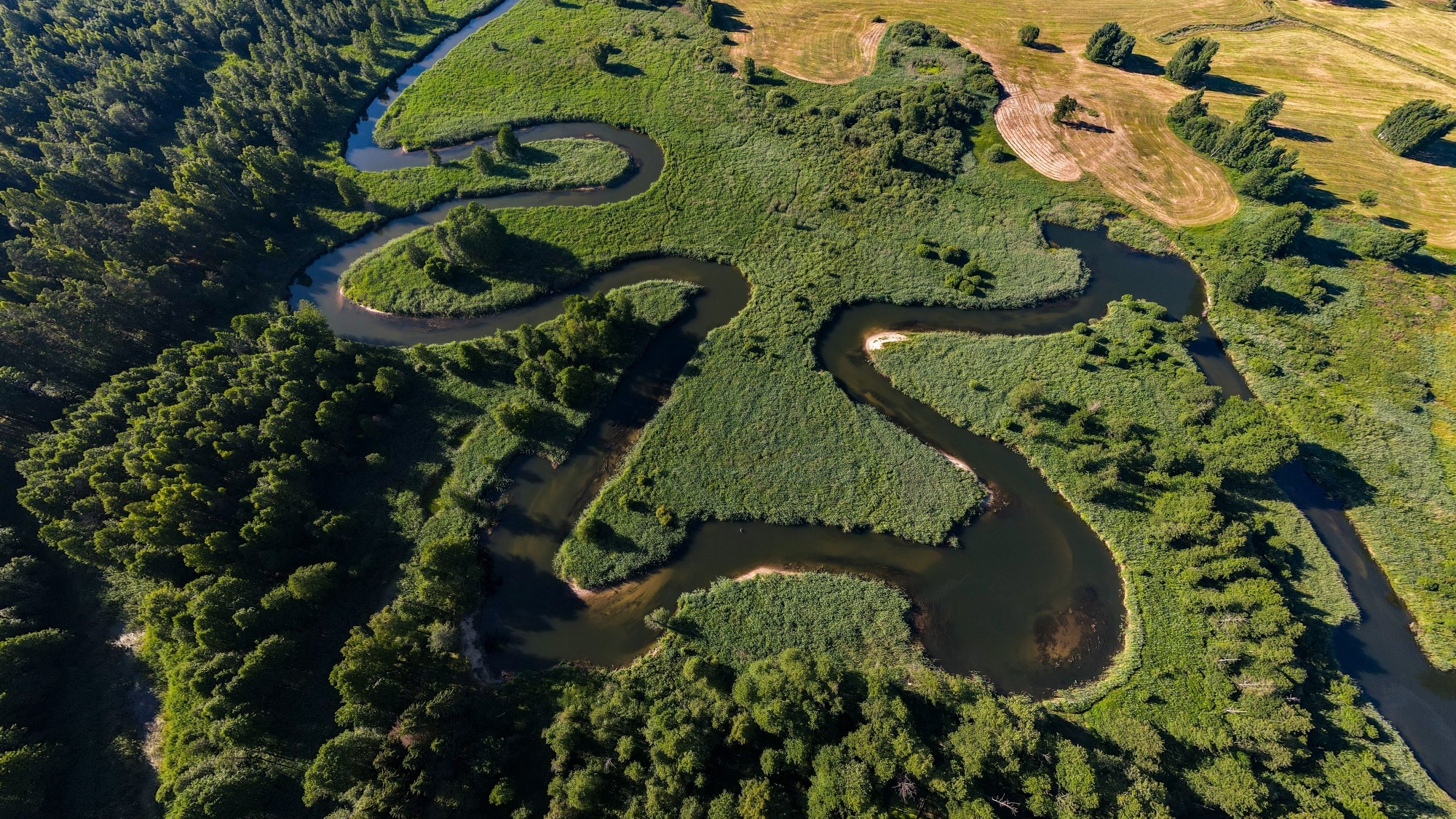 Cuda polskiej natury - zdjęcie 4