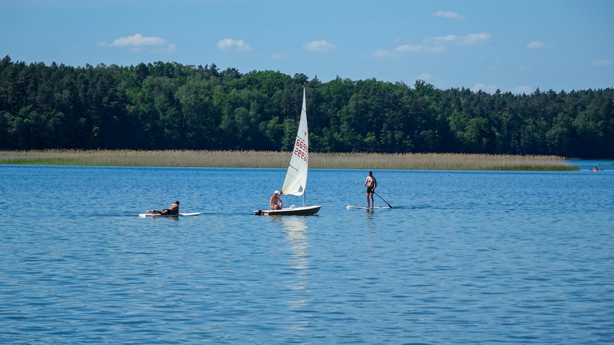 Polskie krajobrazy w 2019 roku - zdjęcie 10