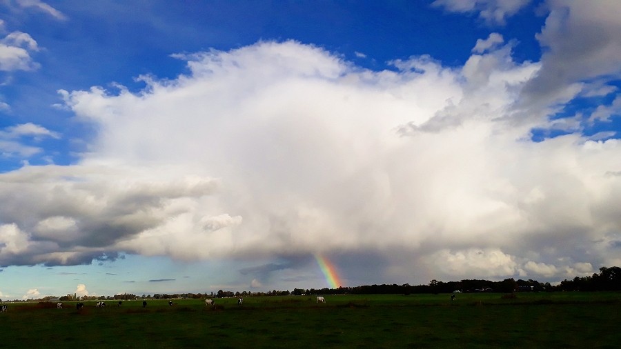 Chmura Cumulonimbus ze smugą opadową i tęczą u podstawy. Fot. Marek Koczenasz / TwojaPogoda.pl