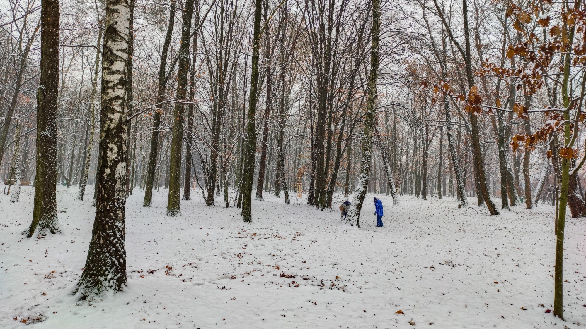 Pierwszy śnieg - zdjęcie 10