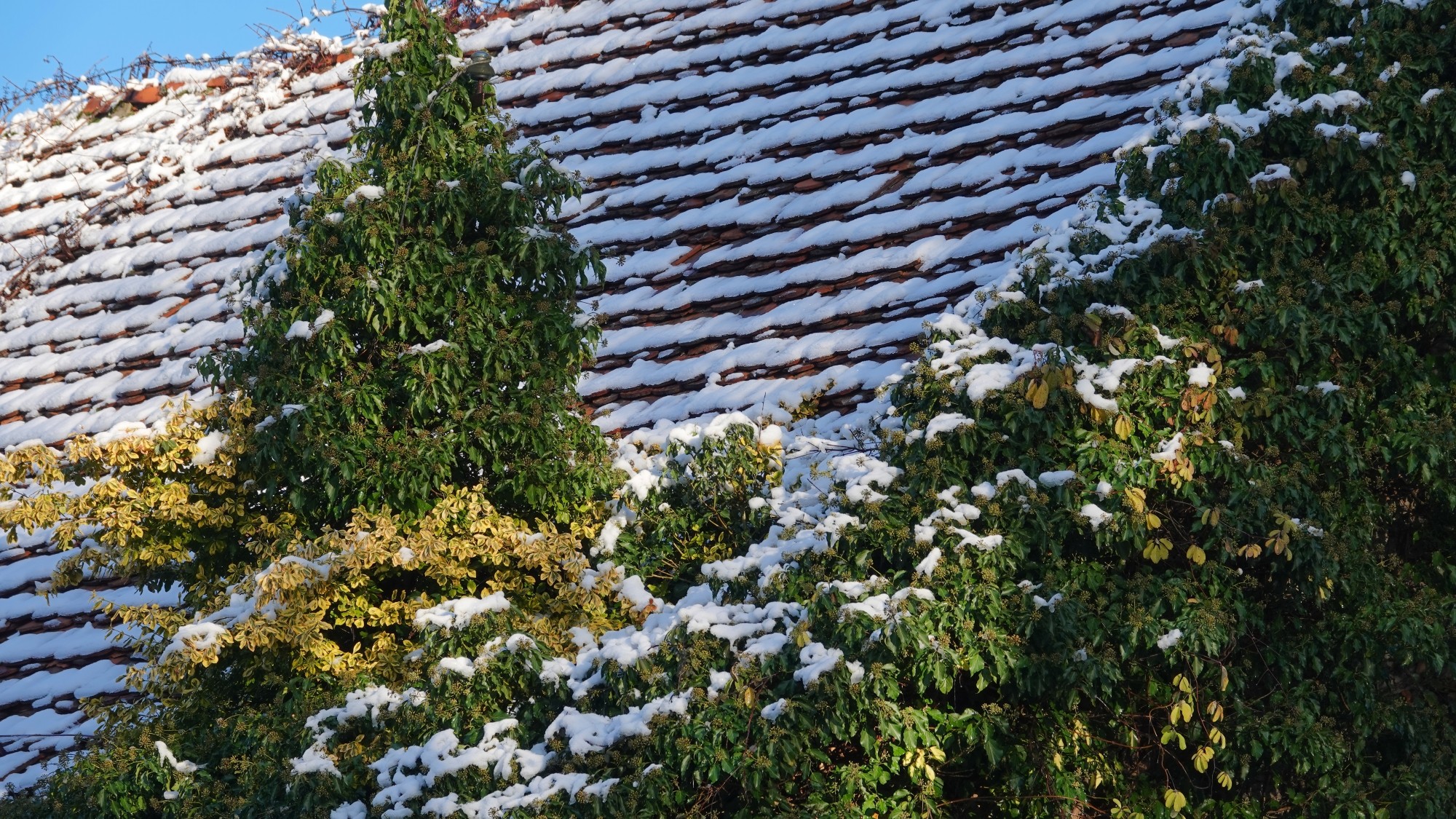 Oblicza zimy - zdjęcie 7