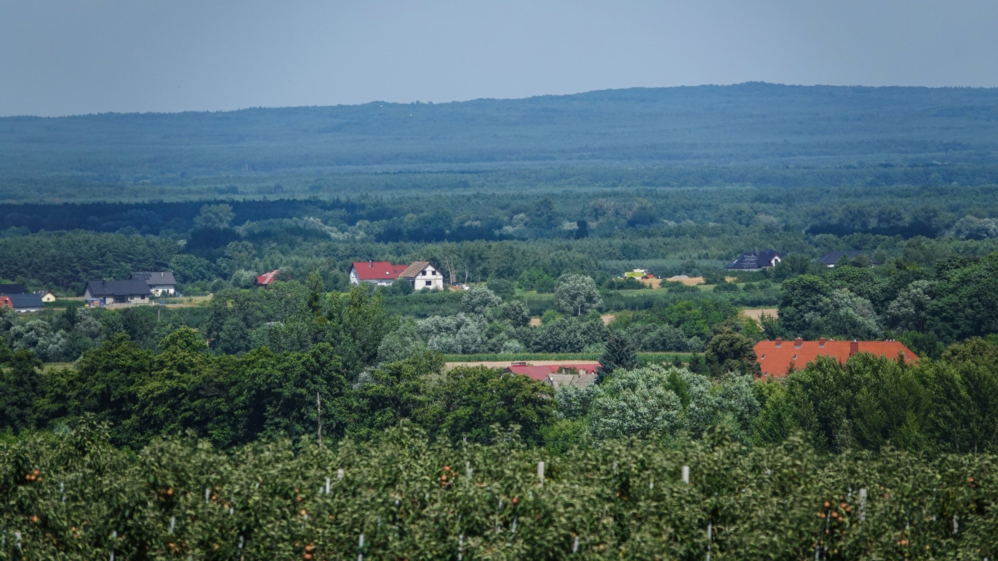 100 najpiękniejszych zdjęć 2021 roku - zdjęcie 97