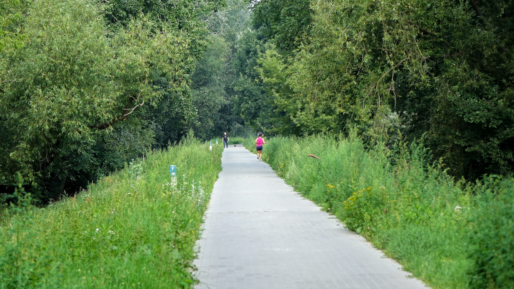 Sierpień w obiektywie - zdjęcie 15