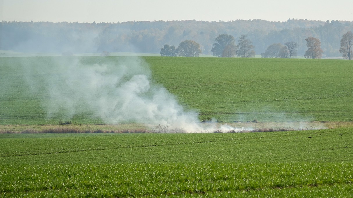 Jesienne krajobrazy za miastem - zdjęcie 65
