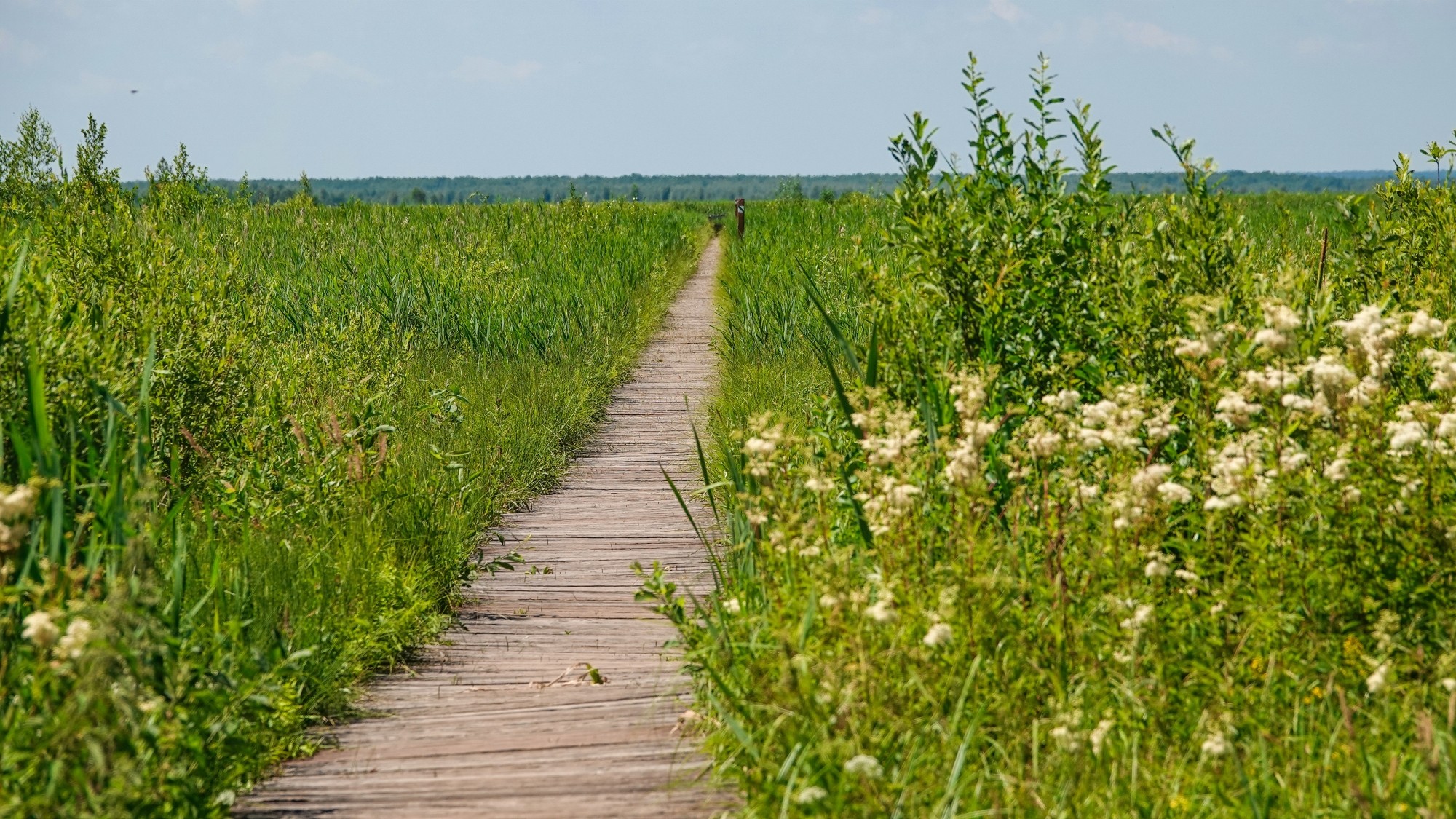 100 najpiękniejszych zdjęć 2021 roku - zdjęcie 88