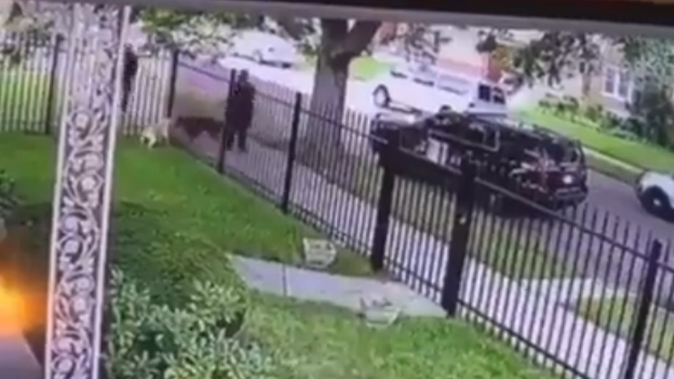 Policjant nie mógł rozdzielić gryzących się psów. Zastrzelił jednego