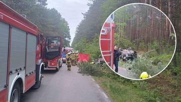 Tragiczny wypadek na Lubelszczyźnie. Samochód zderzył się z łosiem, nie żyją dwie osoby