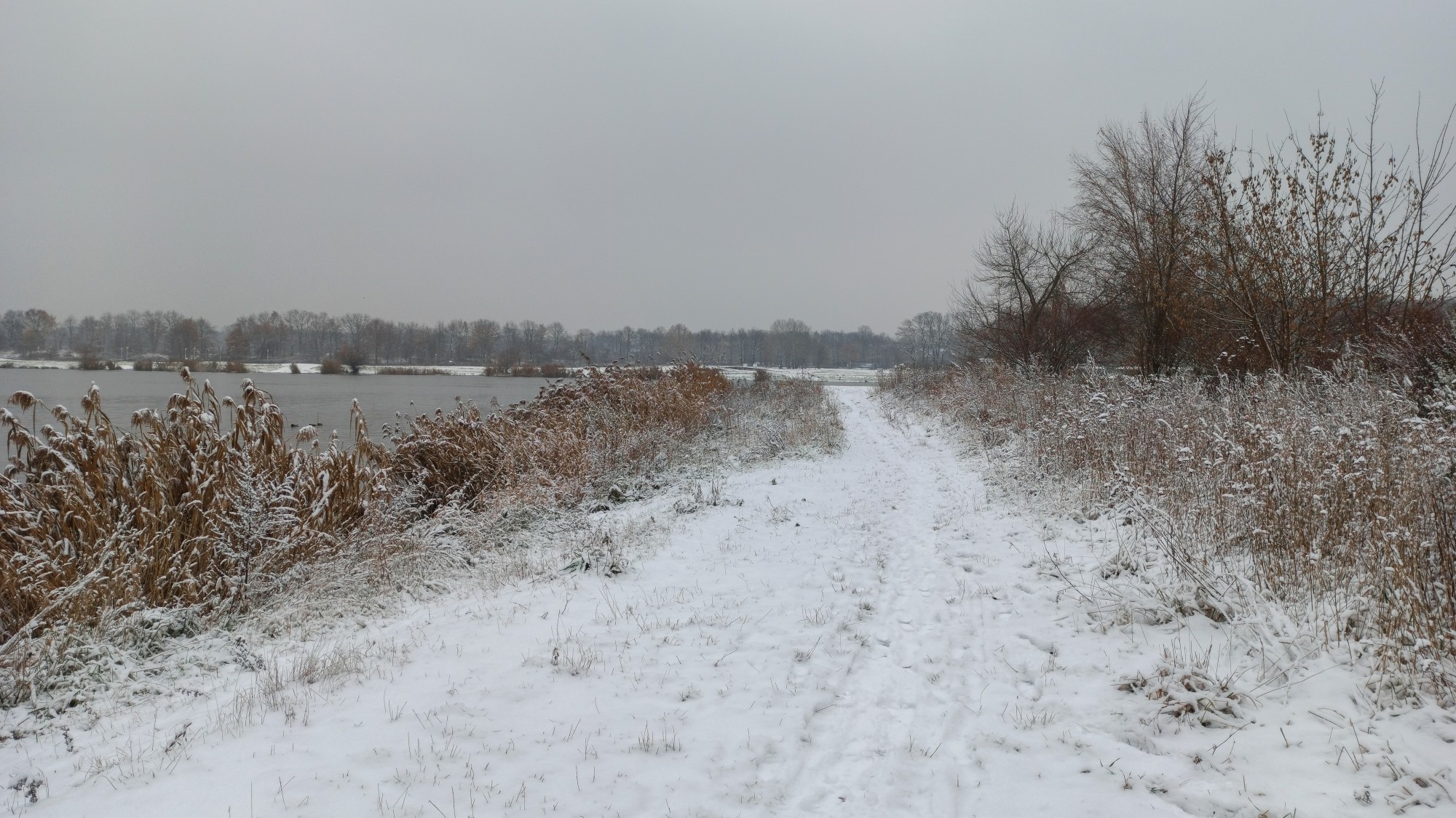 Pierwszy śnieg - zdjęcie 20