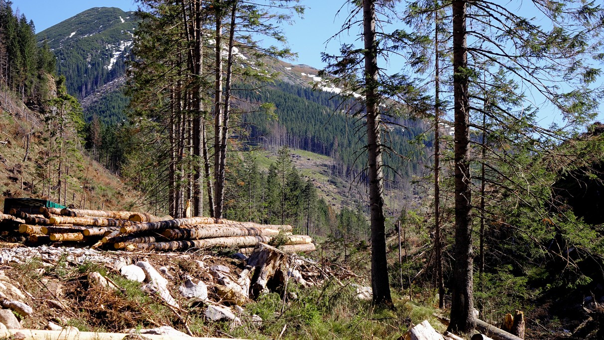 Majówka w Tatrach - zdjęcie 5