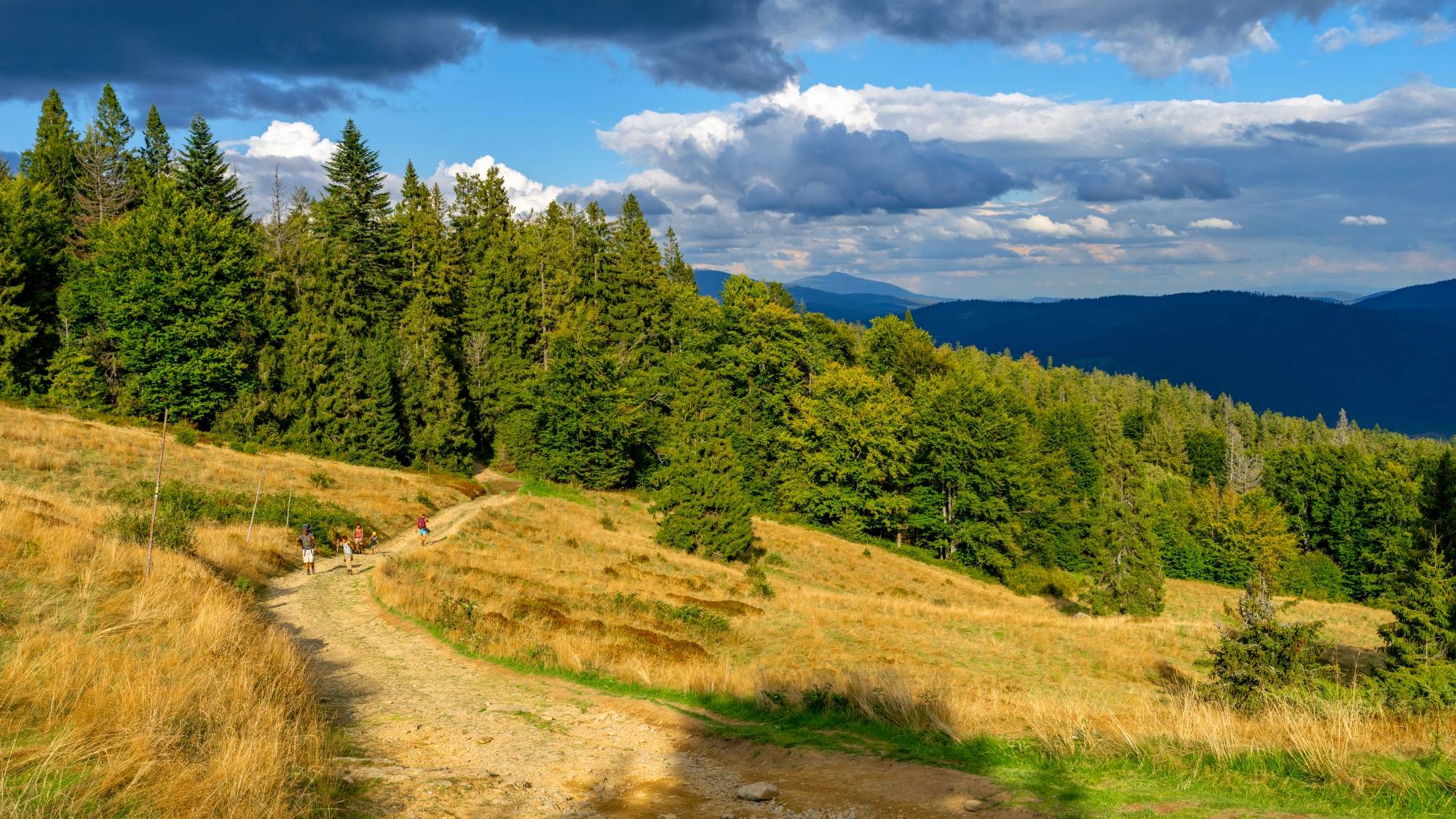 Kolory lata - zdjęcie 10