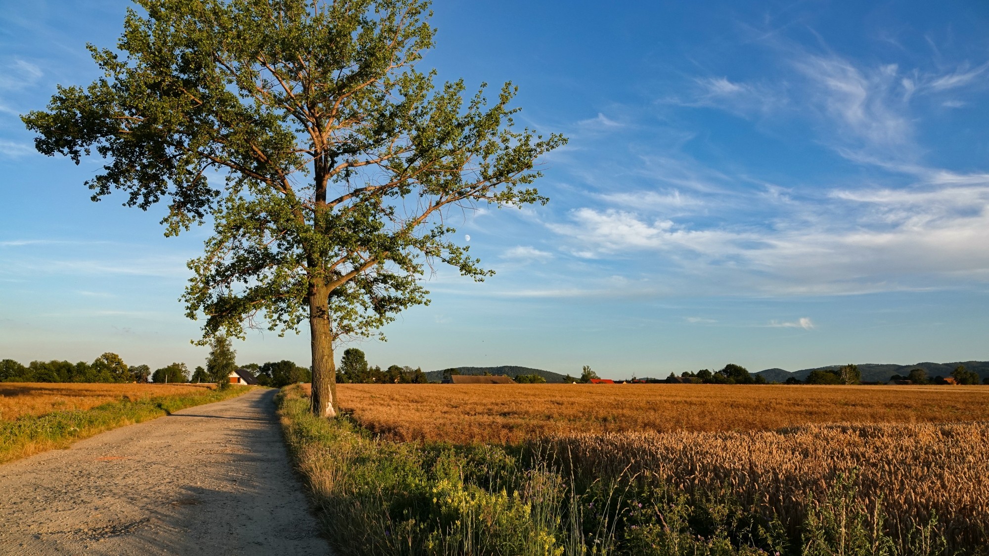 Środek lata w plenerze - zdjęcie 17