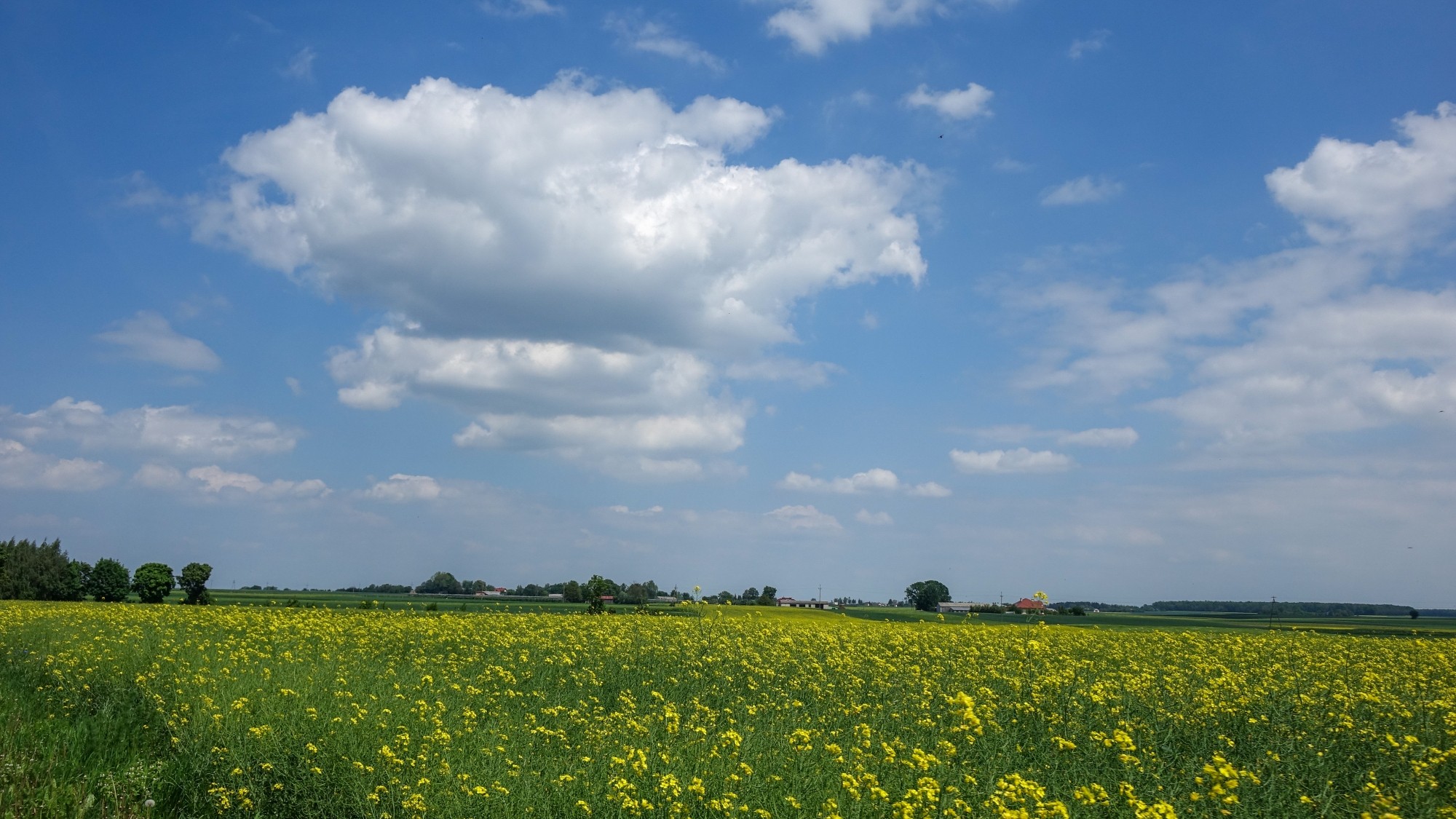 Maj w obiektywie - zdjęcie 45