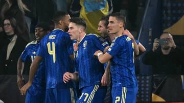 Ukraina - Szwecja. Skrót meczu (WIDEO)