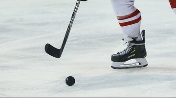 Reprezentacja Polski kobiet w hokeju na lodzie ma nowego trenera
