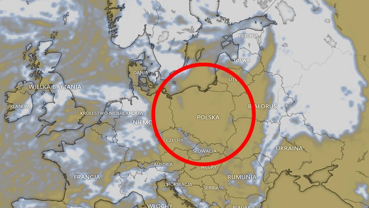 Tak wygląda zdjęcie satelitarne Europy. W Polsce mamy pogodne niebo, a u naszych sąsiadów chmury i deszcze. Fot. Windy.com