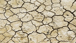 16.03.2021 09:00 Europę nawiedzają największe letnie susze od 2 tysięcy lat. Czy rolnictwo czeka katastrofa?