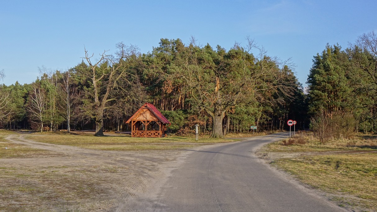 Grudzień w obiektywie - zdjęcie 23