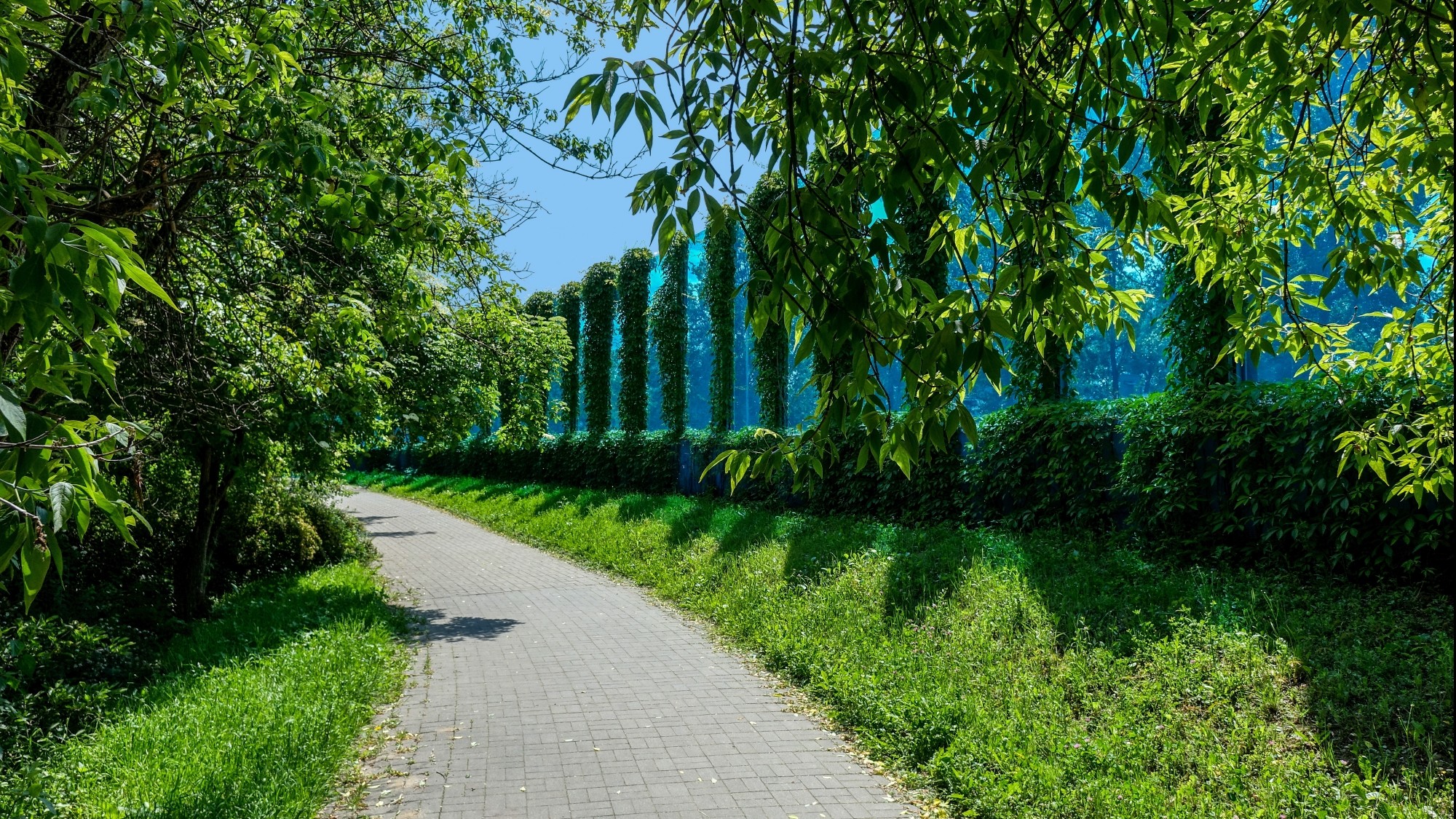 Drogą do raju - zdjęcie 45