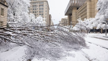 Śnieżyce w USA. 5 osób nie żyje, 850 tys. awarii