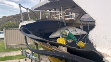 Wieloryb uderzył w łódź. 18-latek w śpiączce 