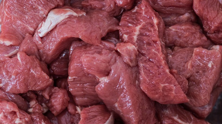 Czechy: bakteria salmonelli w 700-kilogramowej partii mięsa z Polski