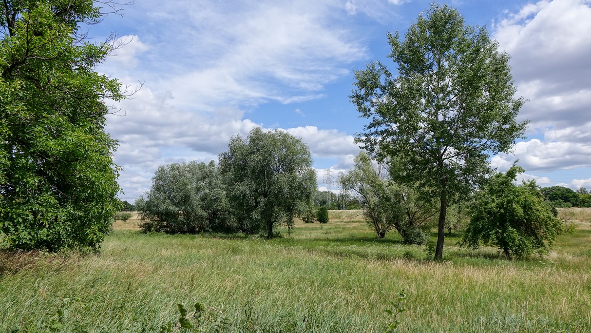 Czerwiec w obiektywie - zdjęcie 53