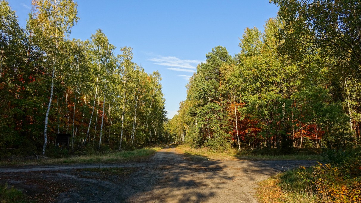 Październik w obiektywie - zdjęcie 59