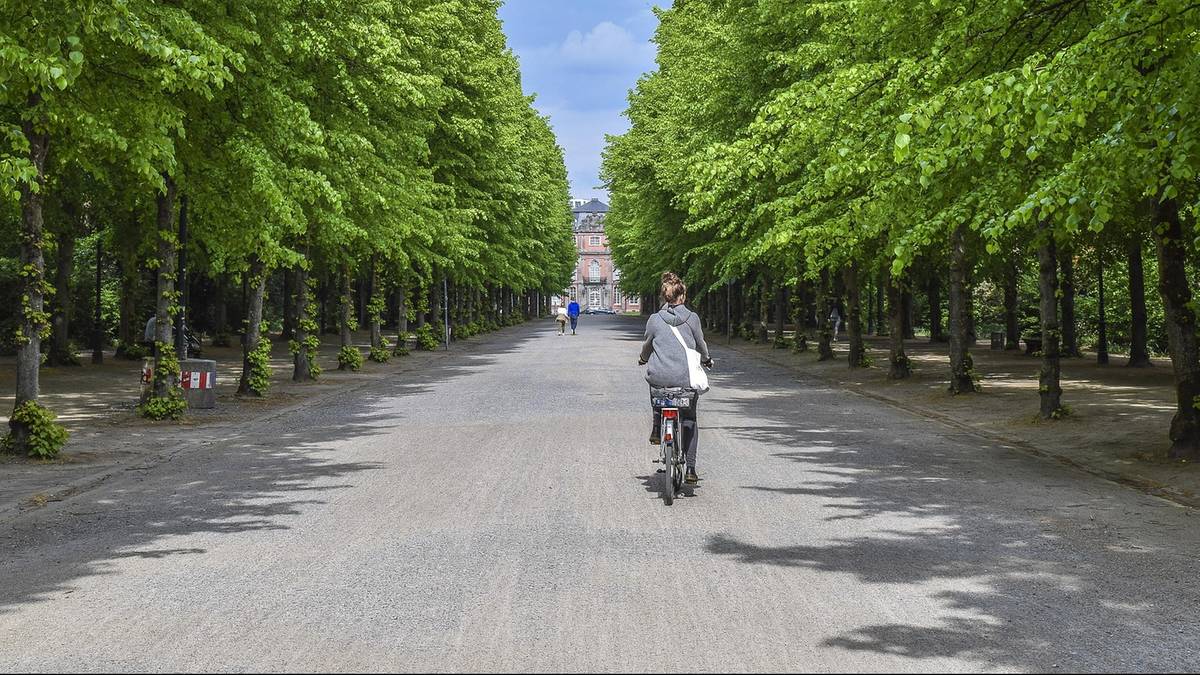 Nawet 4500 zł dla rowerzystów. Rząd dopłaci do roweru