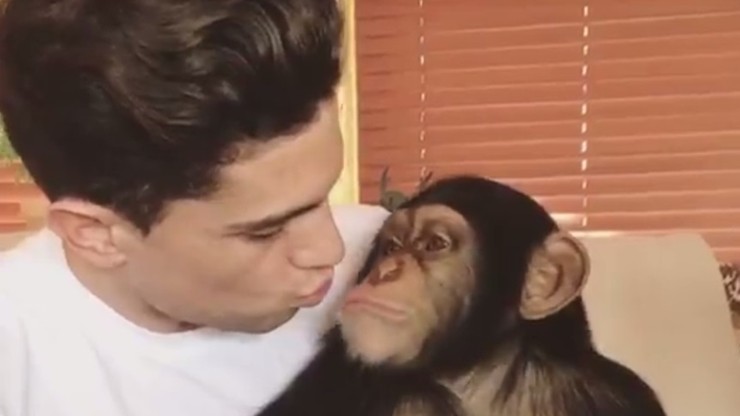 Kolega Piszczka w święta całował się z szympansem! (WIDEO)