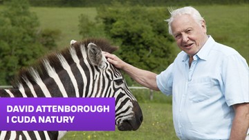 David Attenborough i cuda natury