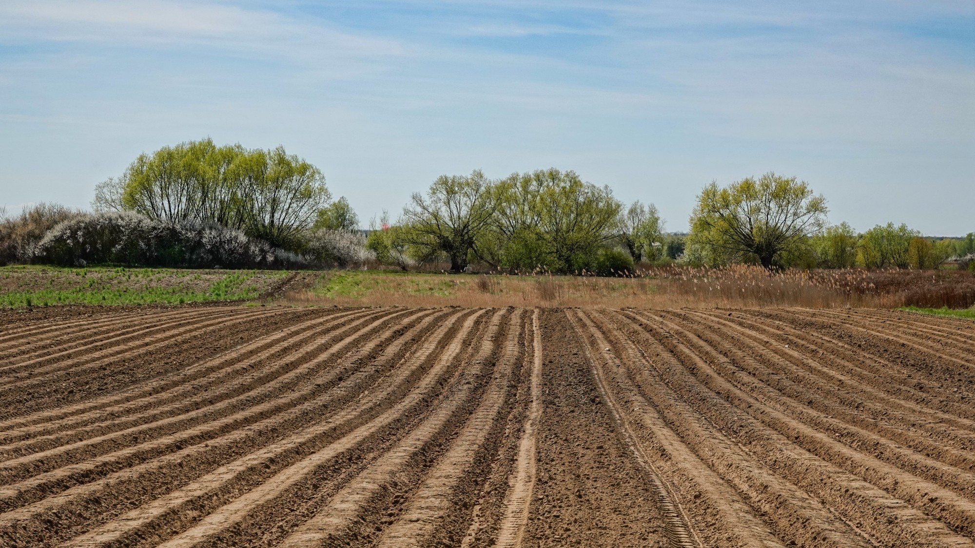 Kwiecień w obiektywie - zdjęcie 25
