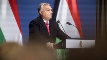 "Dwaj Polacy otrzymali azyl na Węgrzech". Mamy stanowisko MSZ