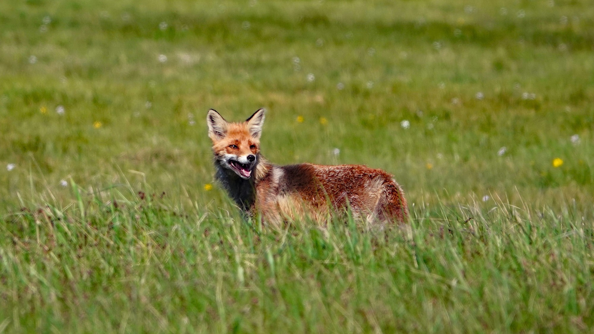 100 najpiękniejszych zdjęć 2021 roku - zdjęcie 33