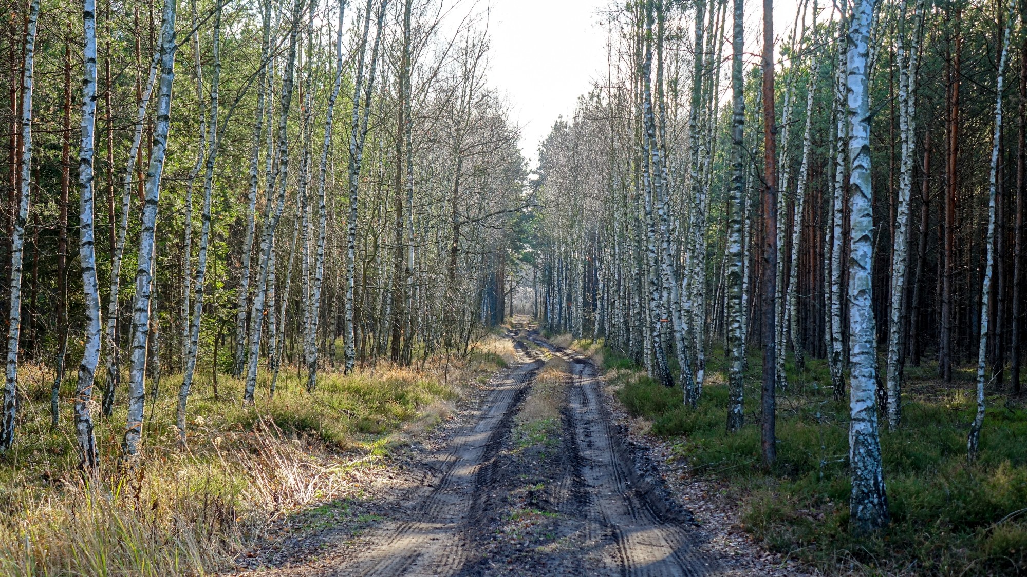 Listopad w obiektywie - zdjęcie 21