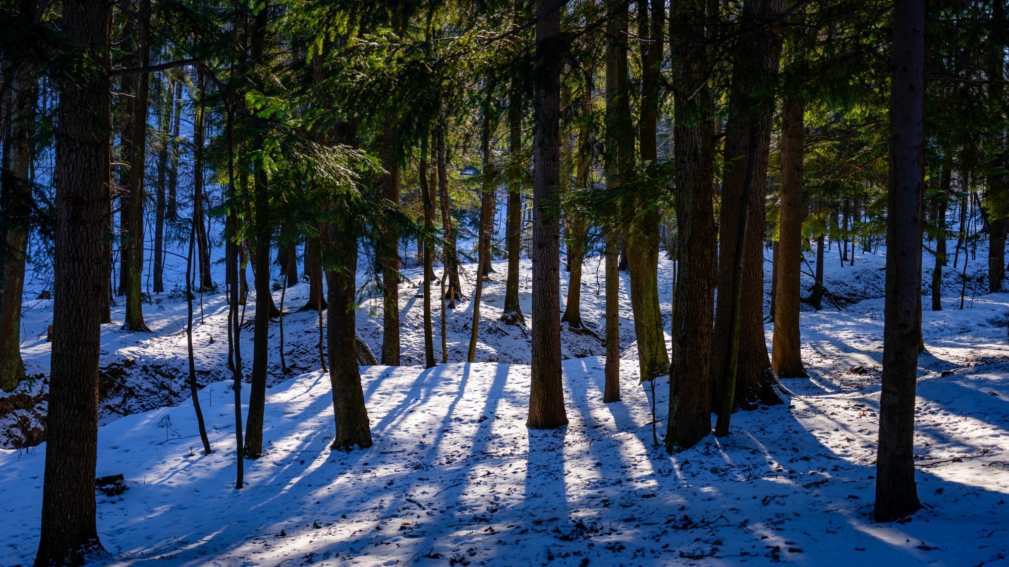 Zima w górach - zdjęcie 31