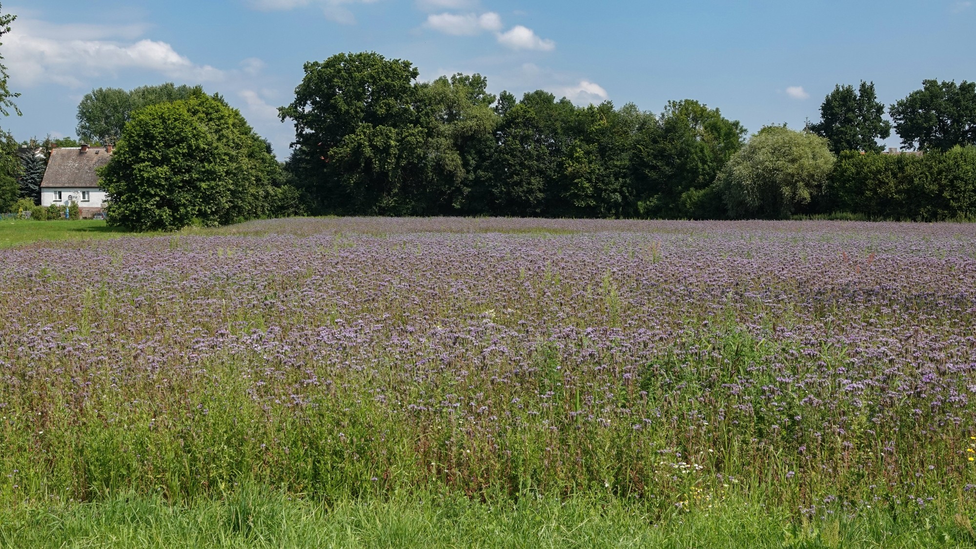 Podróż przez polską prowincję - zdjęcie 29