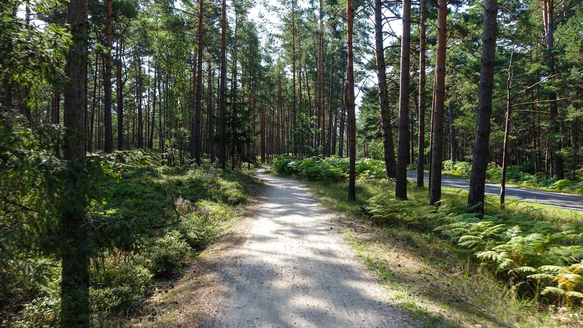 Sierpień w obiektywie - zdjęcie 38