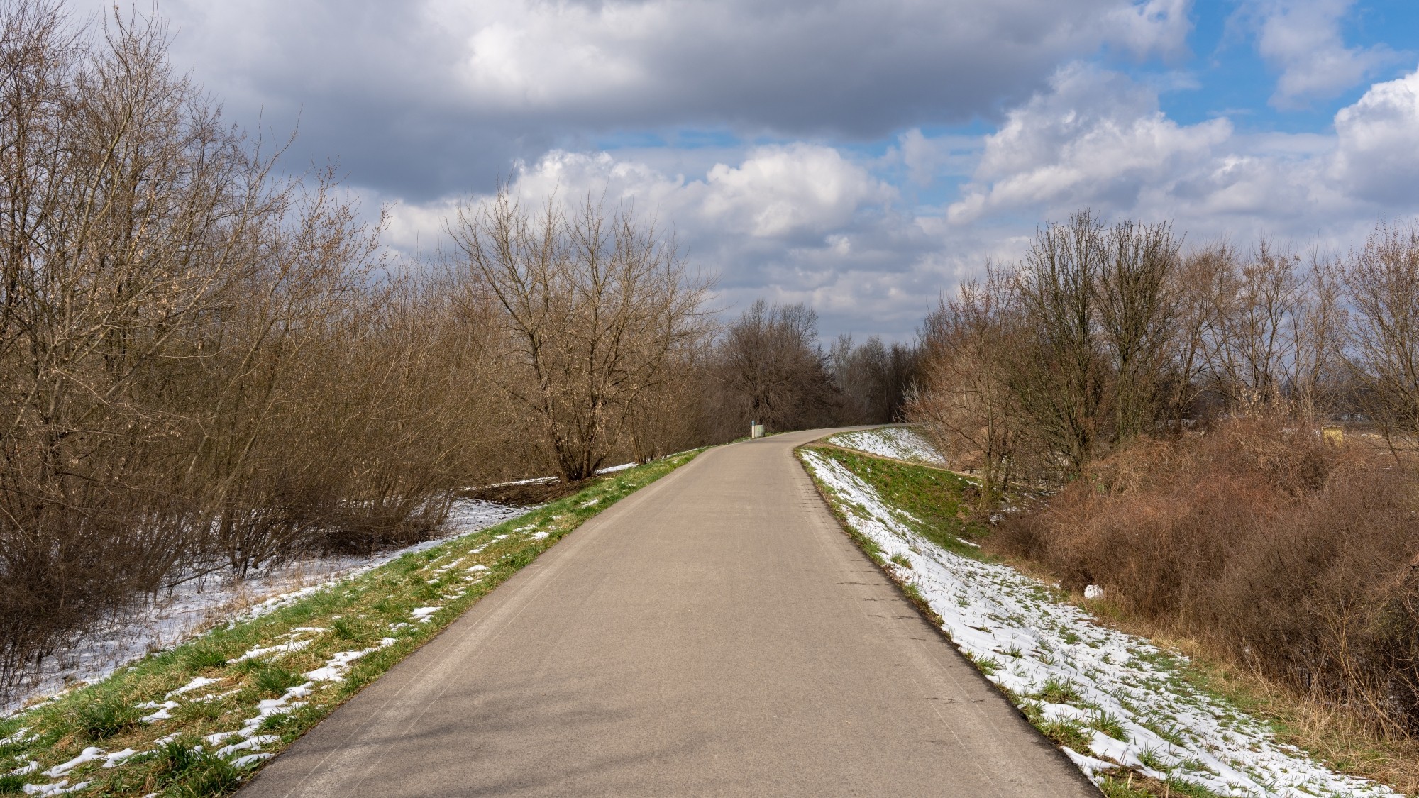 Miejska przyroda - zdjęcie 44