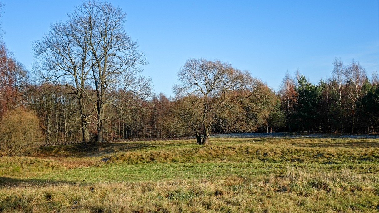 Listopad w obiektywie - zdjęcie 28