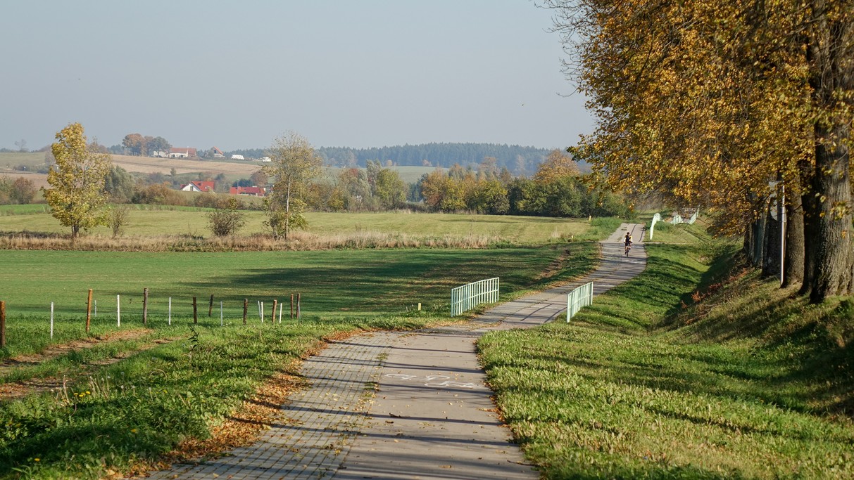 Październik w obiektywie - zdjęcie 13