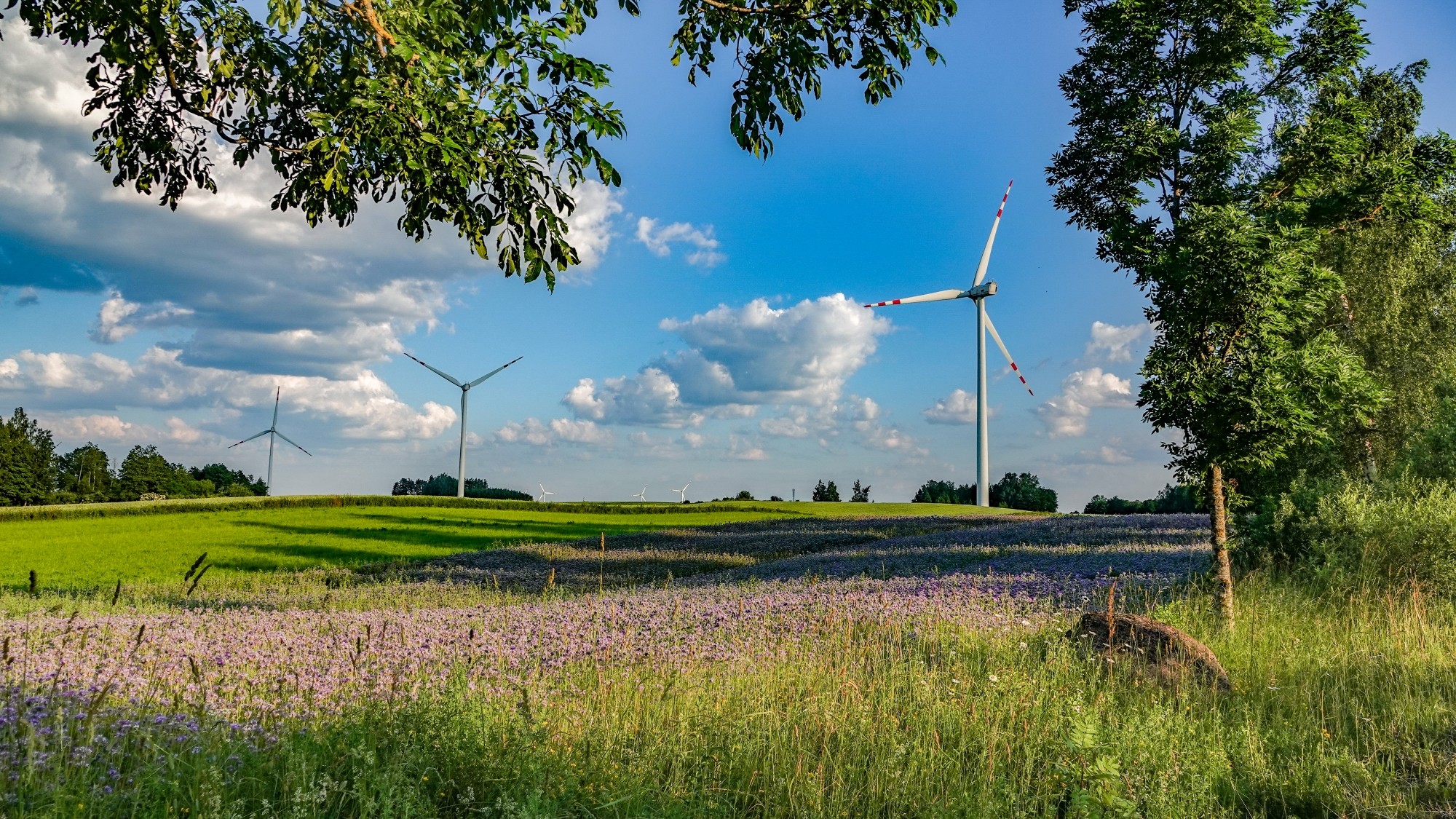 100 najpiękniejszych zdjęć 2020 roku - zdjęcie 16