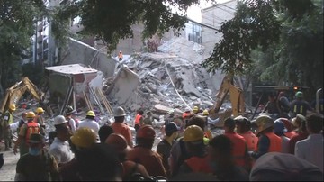 UE oferuje pomoc Meksykowi w związku z trzęsieniem ziemi. Zginęło co najmniej 220 osób