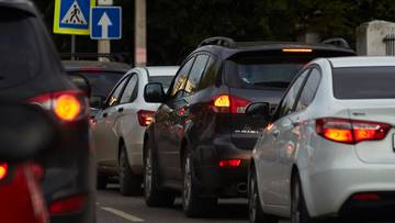 "Nie widzą już drogi przez znaki". Nietypowy problem Holendrów