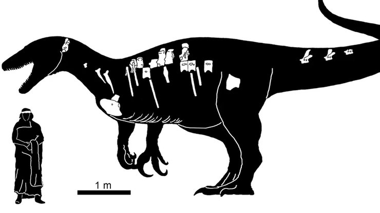 Wielki, drapieżny dinozaur z Argentyny. Megaraptor o wysokości trzech pięter