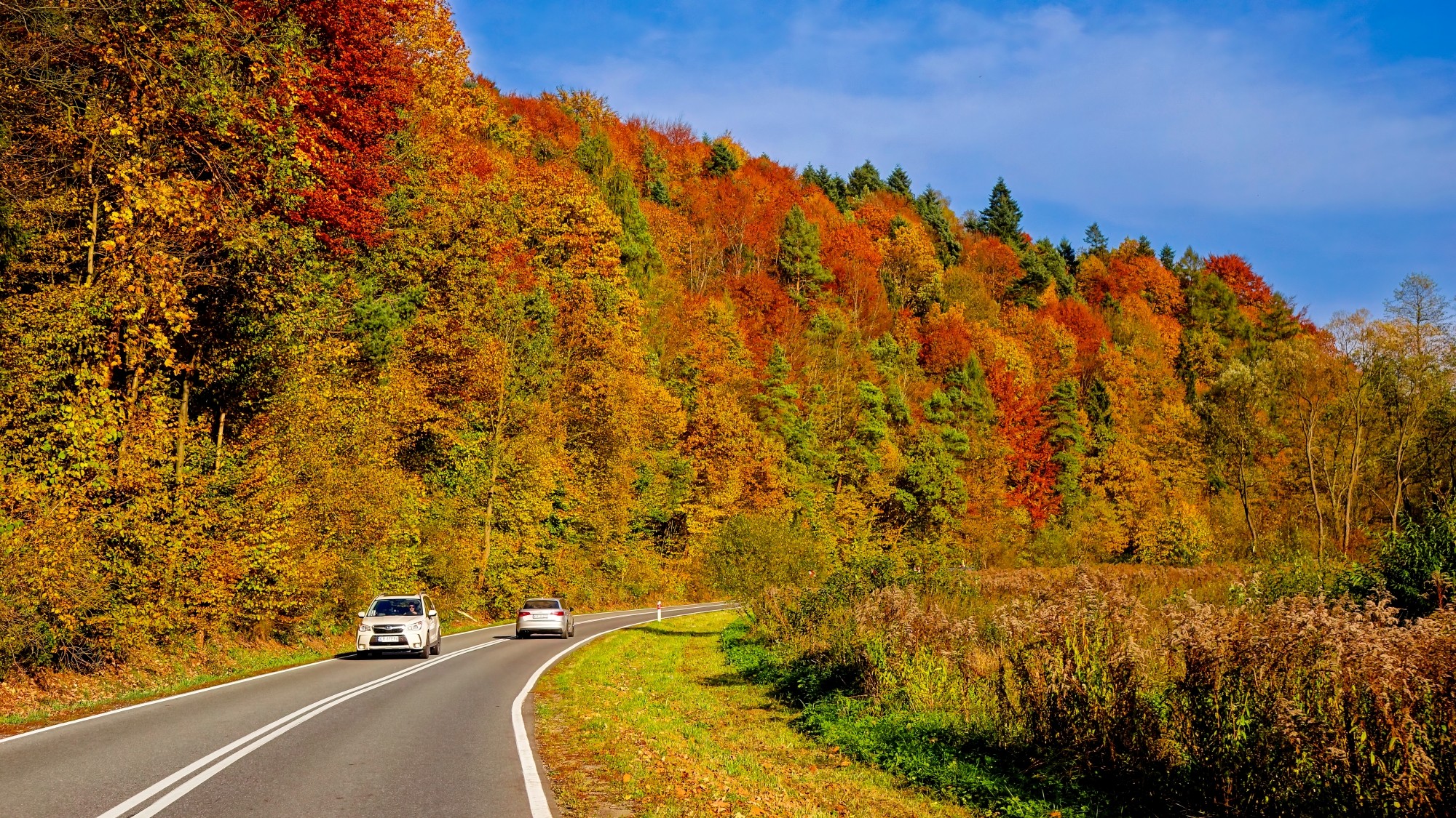 Kraina jesieni - zdjęcie 8