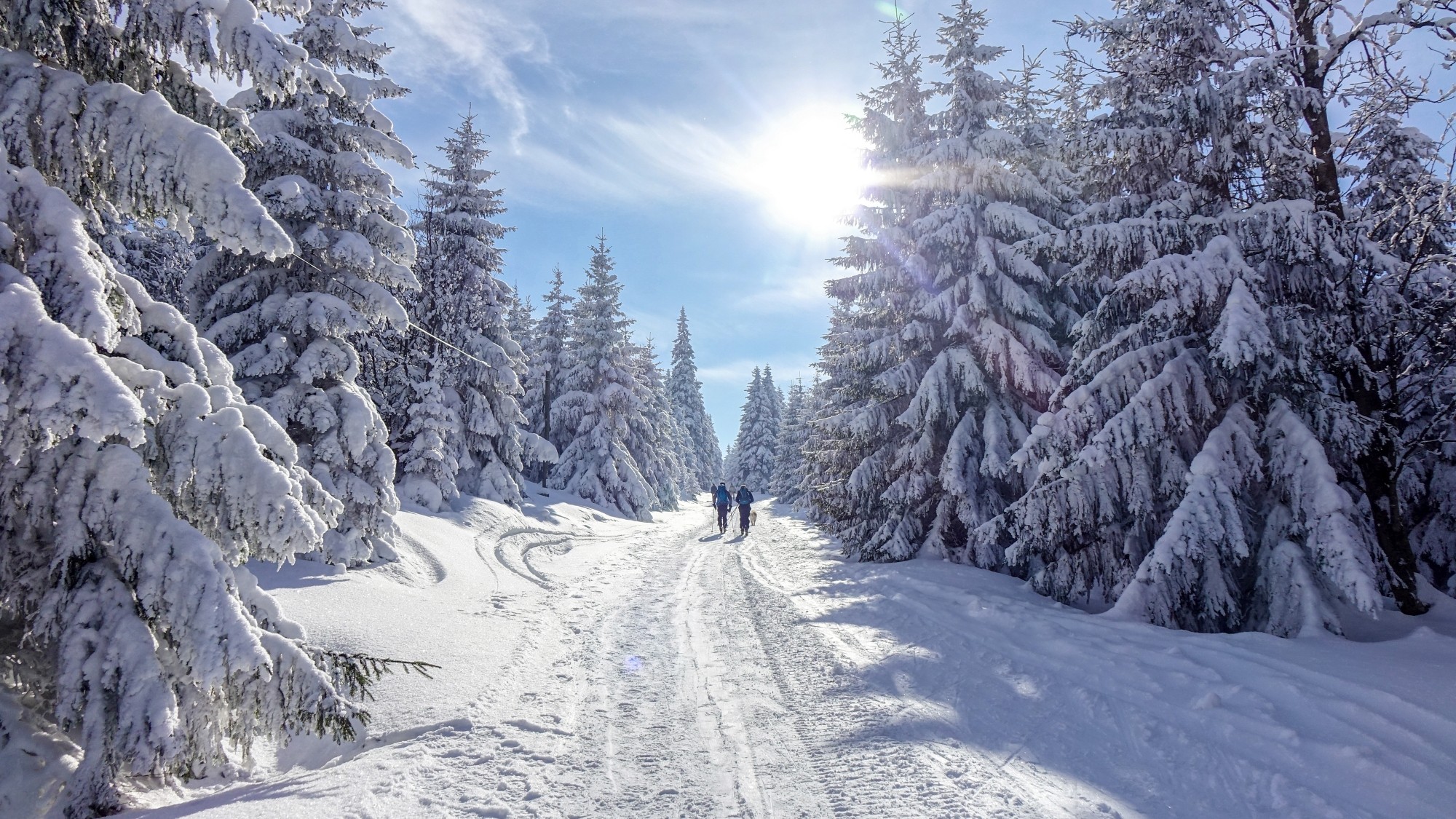 Odkryj piękno Polski w wakacje - zdjęcie 58