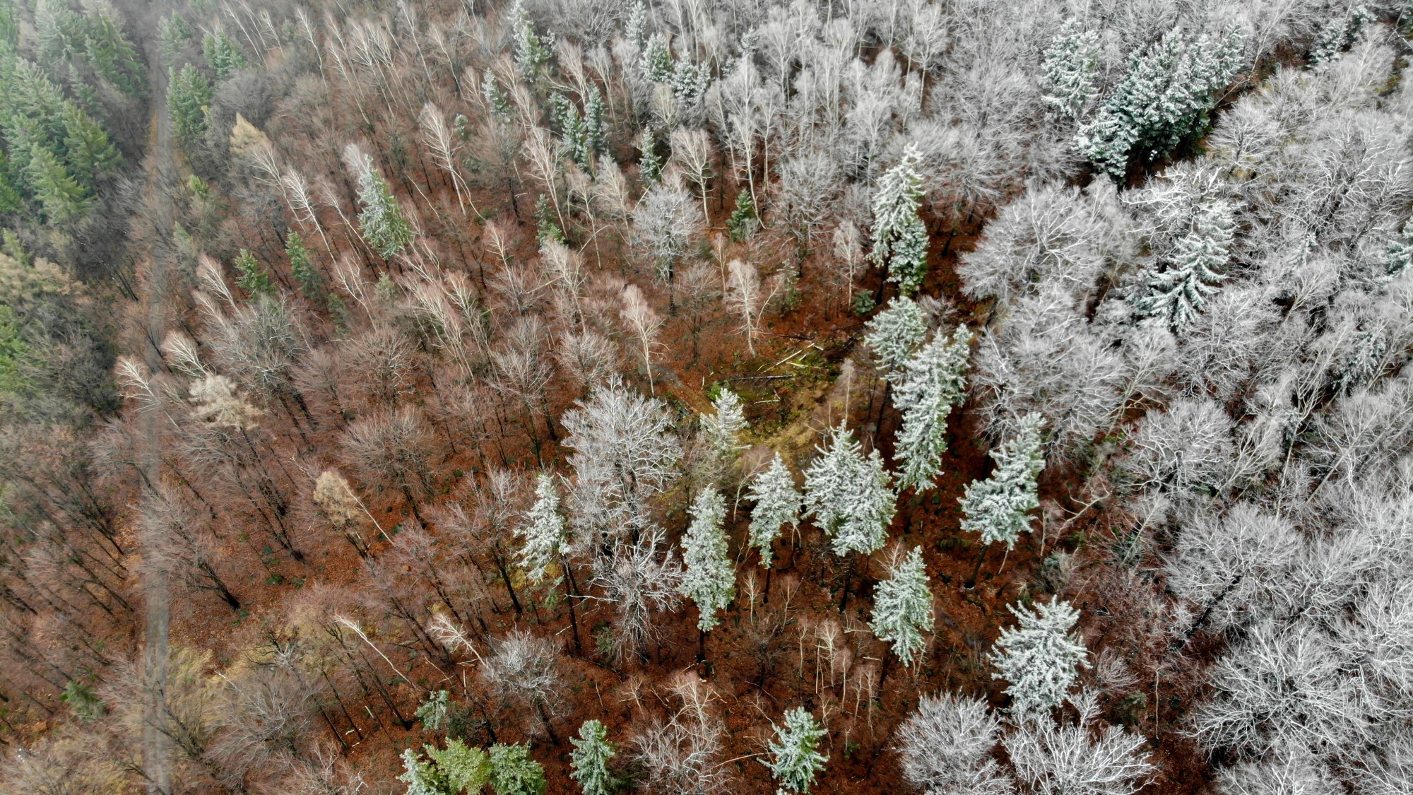 Niesamowita Polska z lotu ptaka - zdjęcie 25