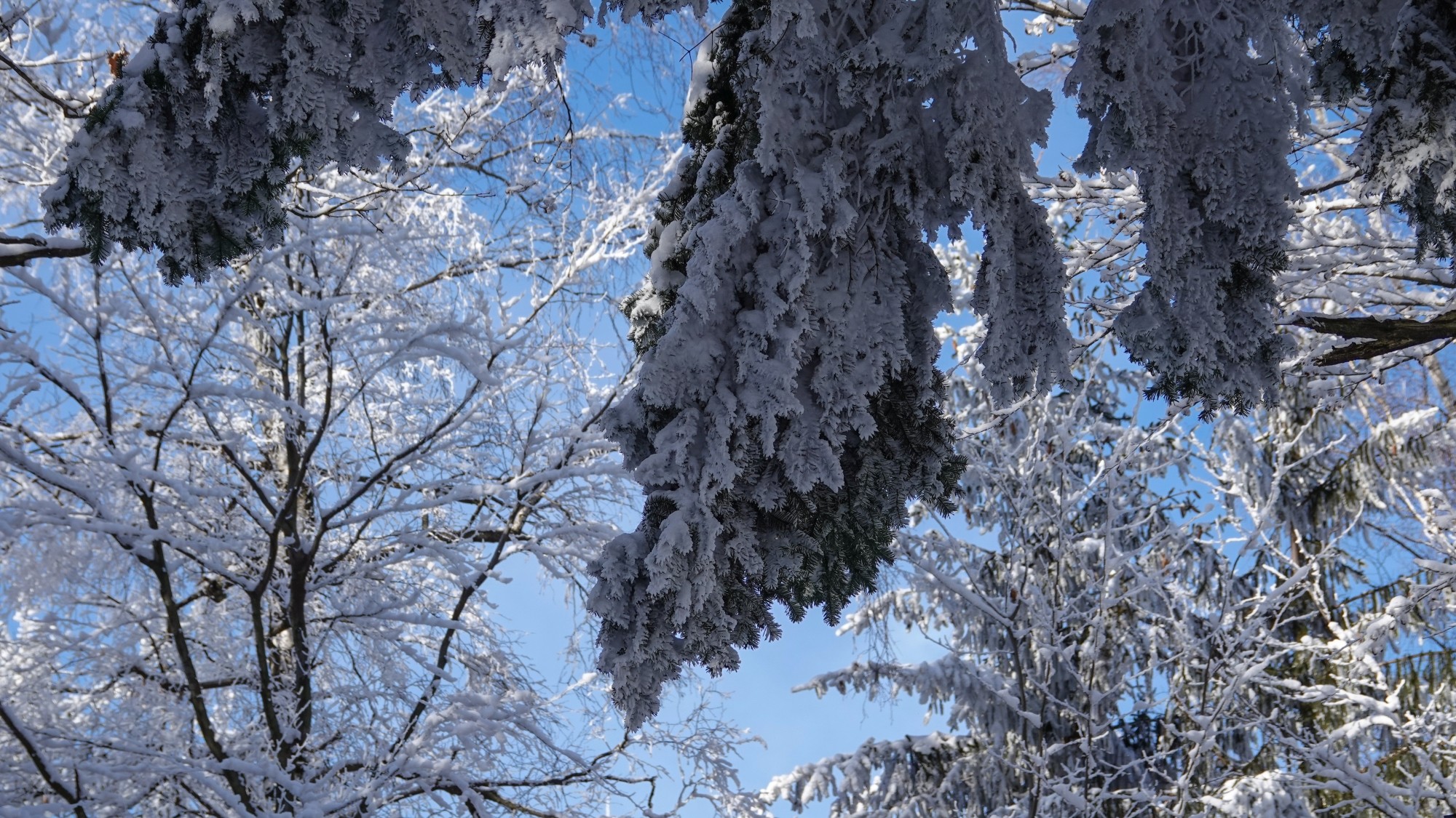 Kraina Narnii - zdjęcie 9