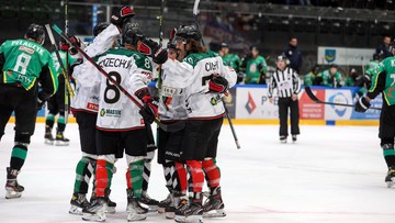 Ekstraliga hokejowa: Zawodnicy GKS Tychy wyjadą na lód w towarzystwie kotów i psów